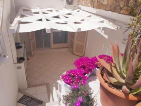 CASA ODINA